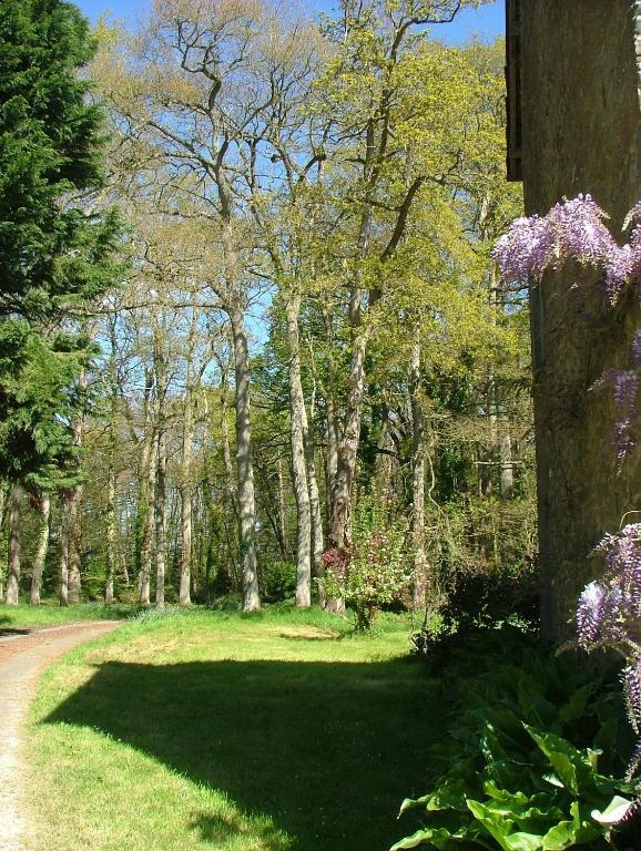 Gites De Launay Guibert Miniac-Morvan Esterno foto