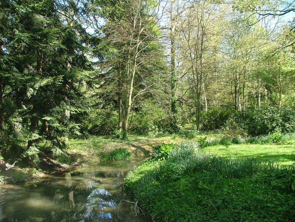 Gites De Launay Guibert Miniac-Morvan Camera foto
